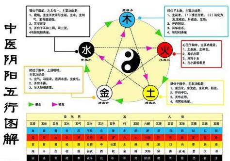 金生水起|怎样理解五行理论中的“金生水”？